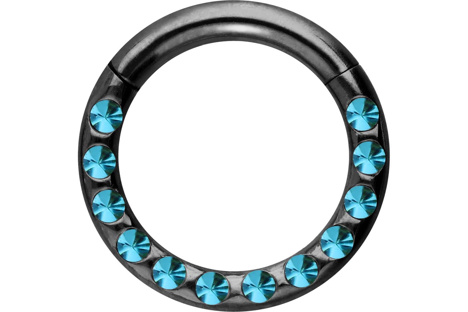 Chirurgenstahl Segmentring Clicker Piercing KRISTALLE + EPOXY ++SALE++